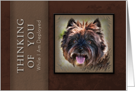 Thinking of You While I Am Deployed, Brown Dog on Brown Background card