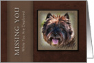 Missing You While You Are Deployed, Brown Dog on Brown Background card