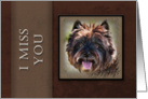 I Miss You, Brown Dog on Brown Background card