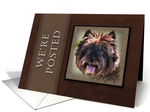We're Posted, Brown Dog on Brown Background card (631338)