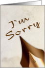 I’m Sorry, Calligraphy Pen card