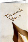 Thank You, Calligraphy Pen card
