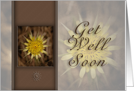 Get Well Soon, Yellow Flower card