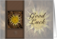Good Luck, Yellow Flower card