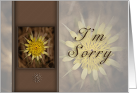 I’m Sorry, Yellow Flower card