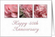 Happy 40th Anniversary, Pink Flower on White Background card