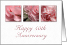 Happy 40th Anniversary, Pink Flower on White Background card