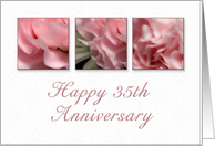 Happy 35th Anniversary, Pink Flower on White Background card