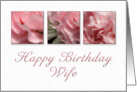 Happy Birthday Wife, Pink Flower on White Background card