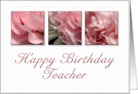 Happy Birthday Teacher, Pink Flower on White Background card