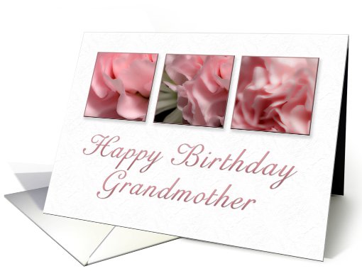 Happy Birthday Grandmother, Pink Flower on White Background card