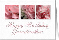 Happy Birthday Grandmother, Pink Flower on White Background card