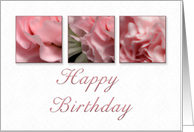 Happy Birthday, Pink Flower on White Background card