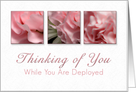 Thinking of You While You Are Deployed, Pink Flower on White Background card