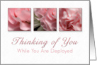 Thinking of You While You Are Deployed, Pink Flower on White Background card