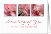 Thinking of You While I Am Deployed, Pink Flower on White Background card