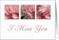 I Miss You, Pink Flower on White Background card