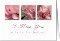I Miss You While You Are Deployed, Pink Flower on White Background card