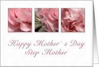 Happy Mother’s Day Step Mother, Pink Flower on White Background card