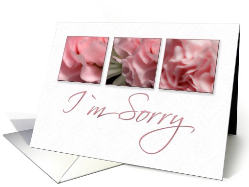 I`m Sorry, Pink Flower on White Background card (634608)