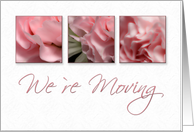We`re Moving, Pink Flower on White Background card