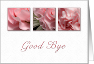 Good Bye, Pink Flower on White Background card