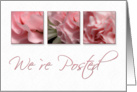 We`re Posted, Pink Flower on White Background card