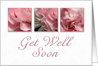 Get Well Soon, Pink Flower on White Background card
