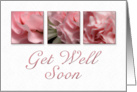 Get Well Soon, Pink Flower on White Background card