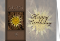 Happy Birthday Mom, Yellow Flower on Brown Background card