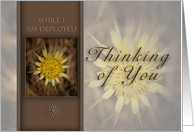 Thinking of You While I Am Deployed, Yellow Flower on Brown Background card