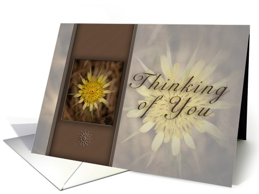 Thinking of You, Yellow Flower on Brown Background card (634657)