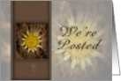 We`re Posted, Yellow Flower on Brown Background card