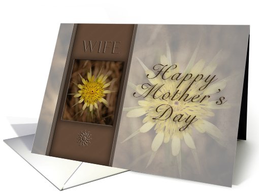 Happy Mother`s Day Wife, Yellow Flower on Brown Background card