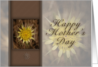 Happy Mother`s Day, Yellow Flower on Brown Background card