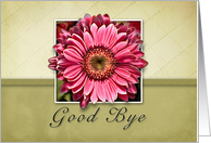 Good Bye, Framed Pink Flower on Tan and Green Background card