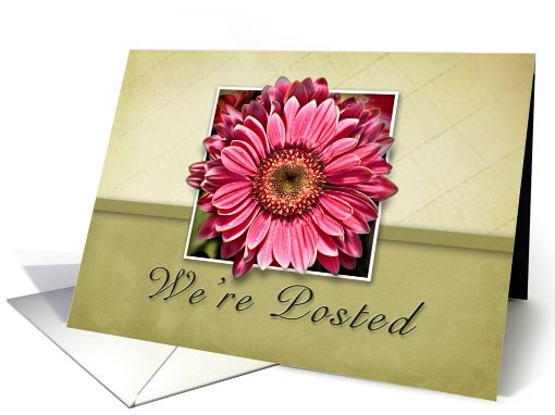 We're Posted, Framed Pink Flower on Tan and Green Background card