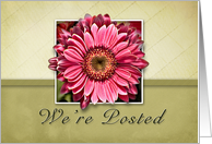 We’re Posted, Framed Pink Flower on Tan and Green Background card