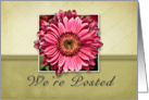 We’re Posted, Framed Pink Flower on Tan and Green Background card