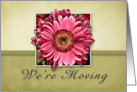 We’re Moving, Framed Pink Flower on Tan and Green Background card