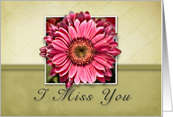I Miss You, Framed Pink Flower on Tan and Green Background card