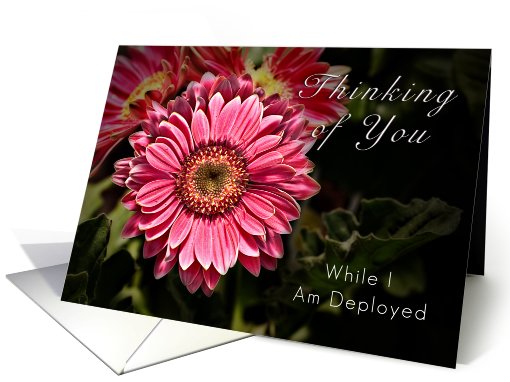 Thinking of You While I Am Deployed - Pink Flower card (636747)