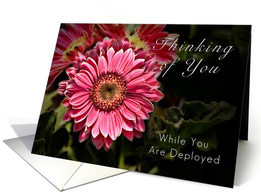 Thinking of You While You Are Deployed - Pink Flower card (636748)