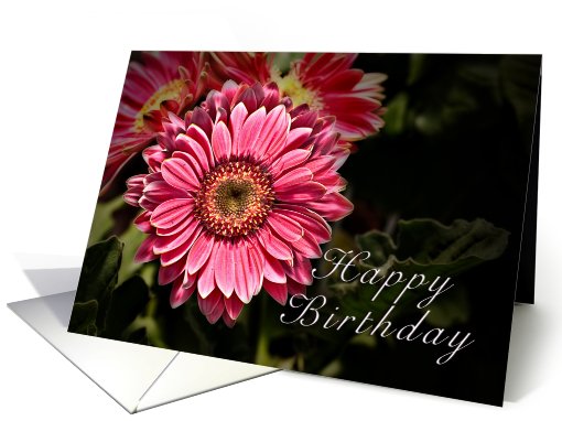 Happy Birthday, Pink Flowers card (636752)