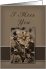 I Miss You Sepia Flower on Tan and Brown card