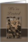 We’re Posted, Sepia Flower on Tan and Brown card