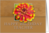 Teacher Happy Birthday, Flower with Tan Background card
