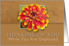 Thinking of You While You Are Deployed, Flower with Tan Background card