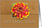 Get Well Soon, Flower with Tan Background card