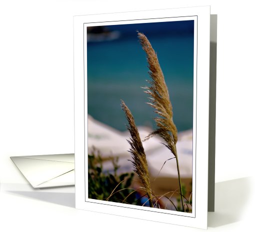 Thinking of You While You Are Deployed, Plants at Beach card (638318)